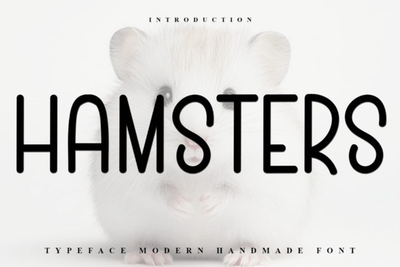 Hamsters: Balancing Organic Warmth with Clean Geometry in Modern Design